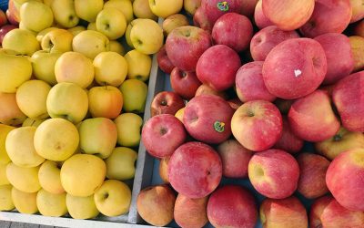 Consells per a triar les fruites i verdures més fresques en el mercat