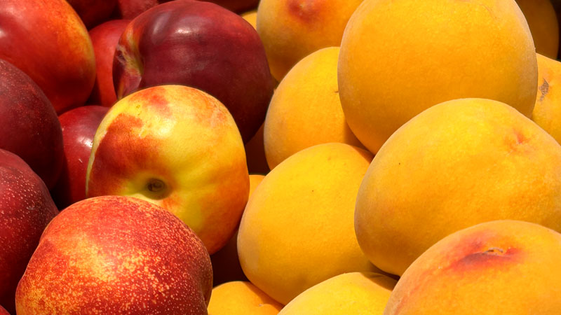 ¿Cuáles son las frutas de temporada de junio?